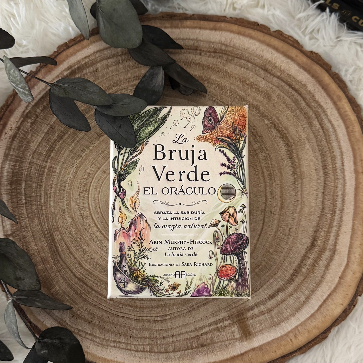 La Bruja Verde - El Oráculo