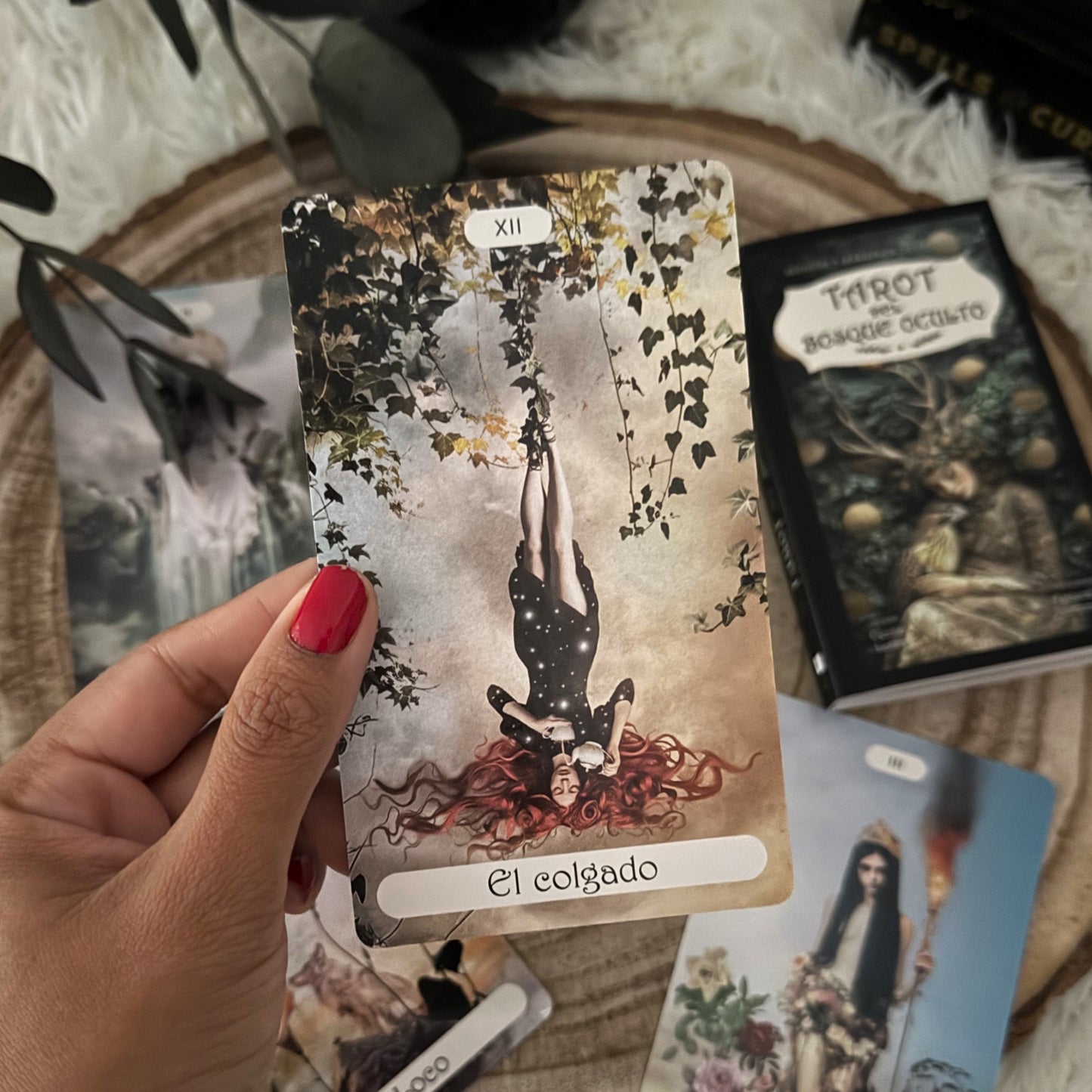 Tarot del Bosque Oculto