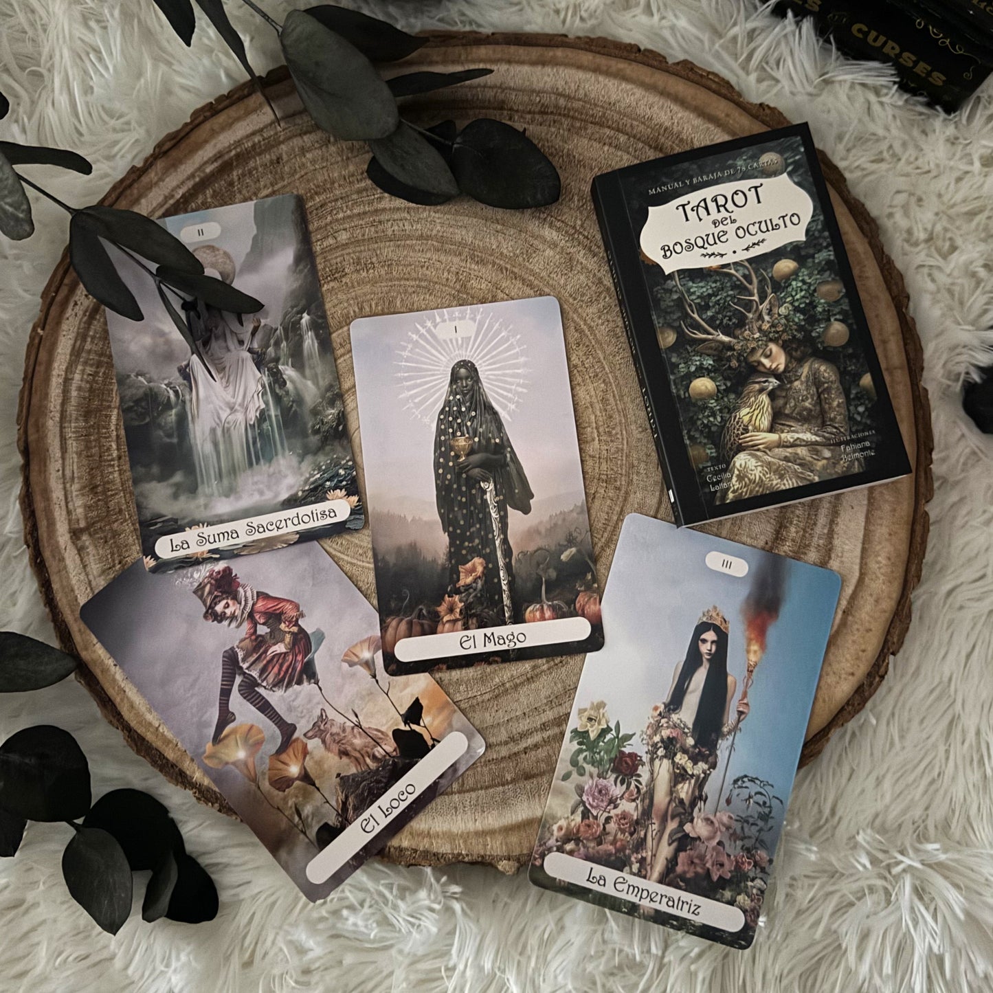 Tarot del Bosque Oculto