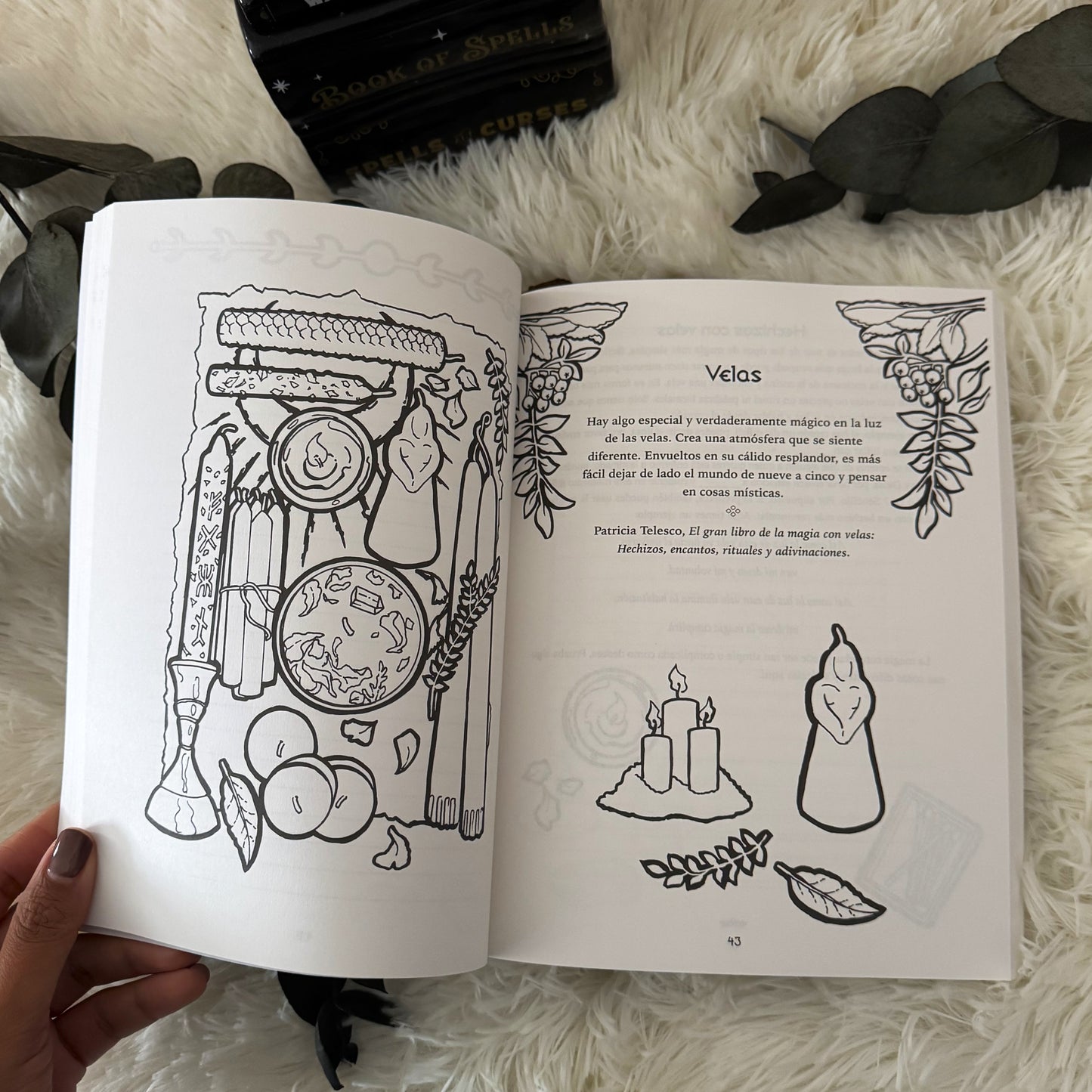 El Cuaderno de las Sombras de la Bruja Ecléctica