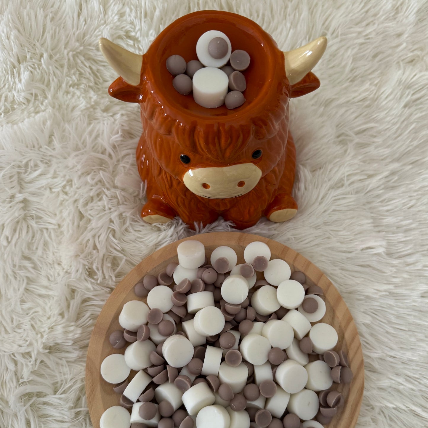 Wax Melts Coco y Cítricos