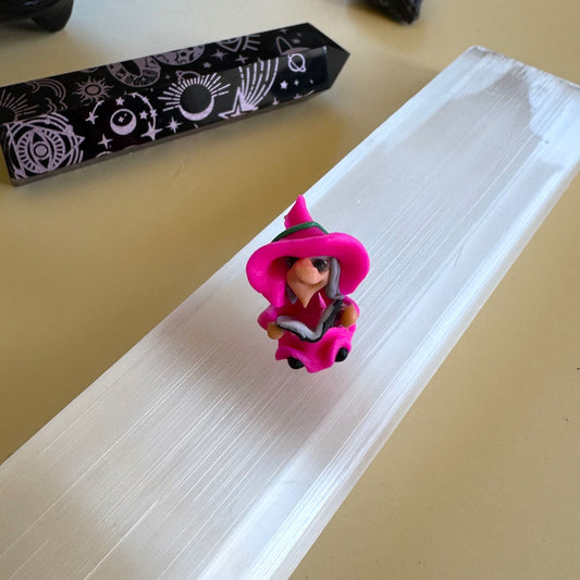 Bruja del Estudio